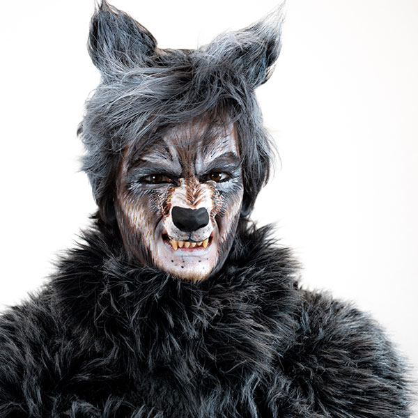 Ein Zähne fletschender Wolf in der KFO Euskirchen